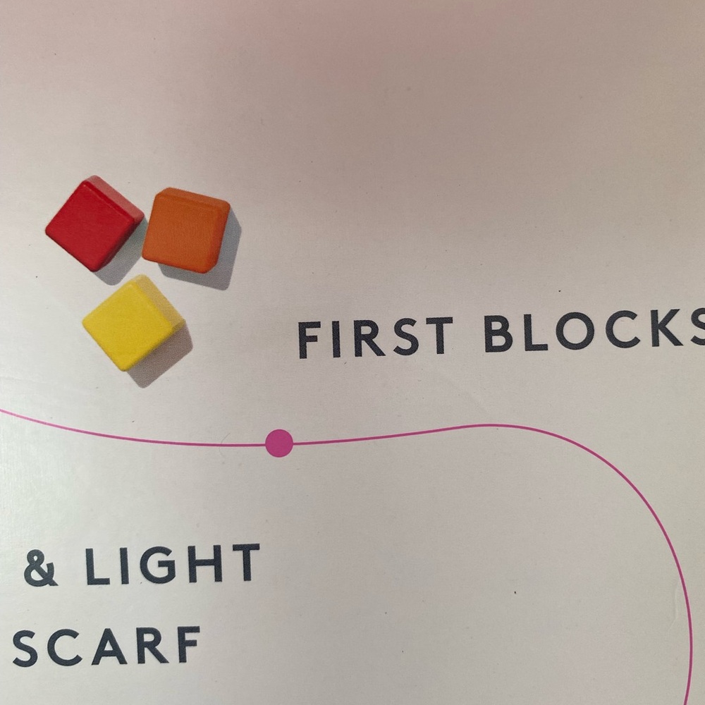 Lovevery first blocks 9-10 months